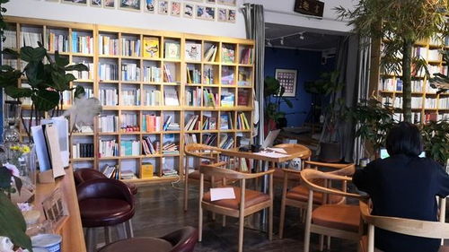 點(diǎn)亮鄉(xiāng)村振興的 文化燈塔 2020中國書店年度致敬之 年度鄉(xiāng)村書店